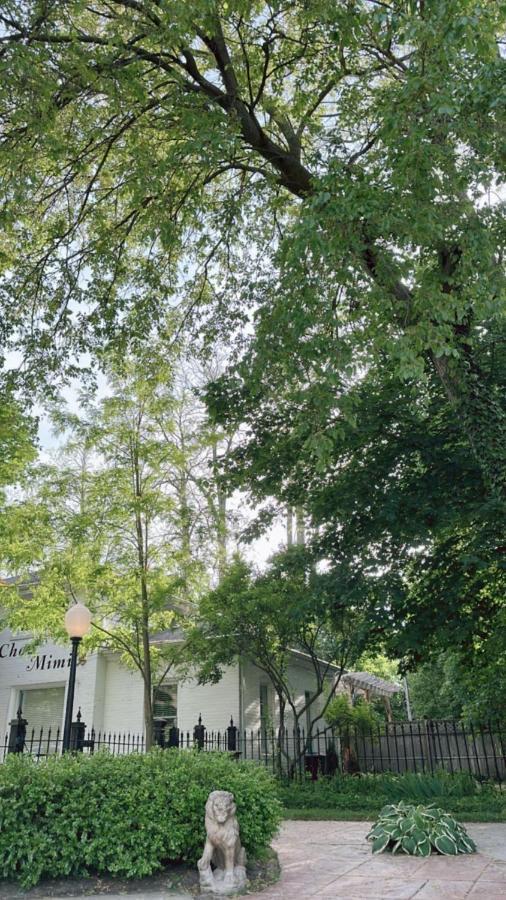 The Ginkgo Tree Bed & Breakfast Маунт Плезант Екстериор снимка