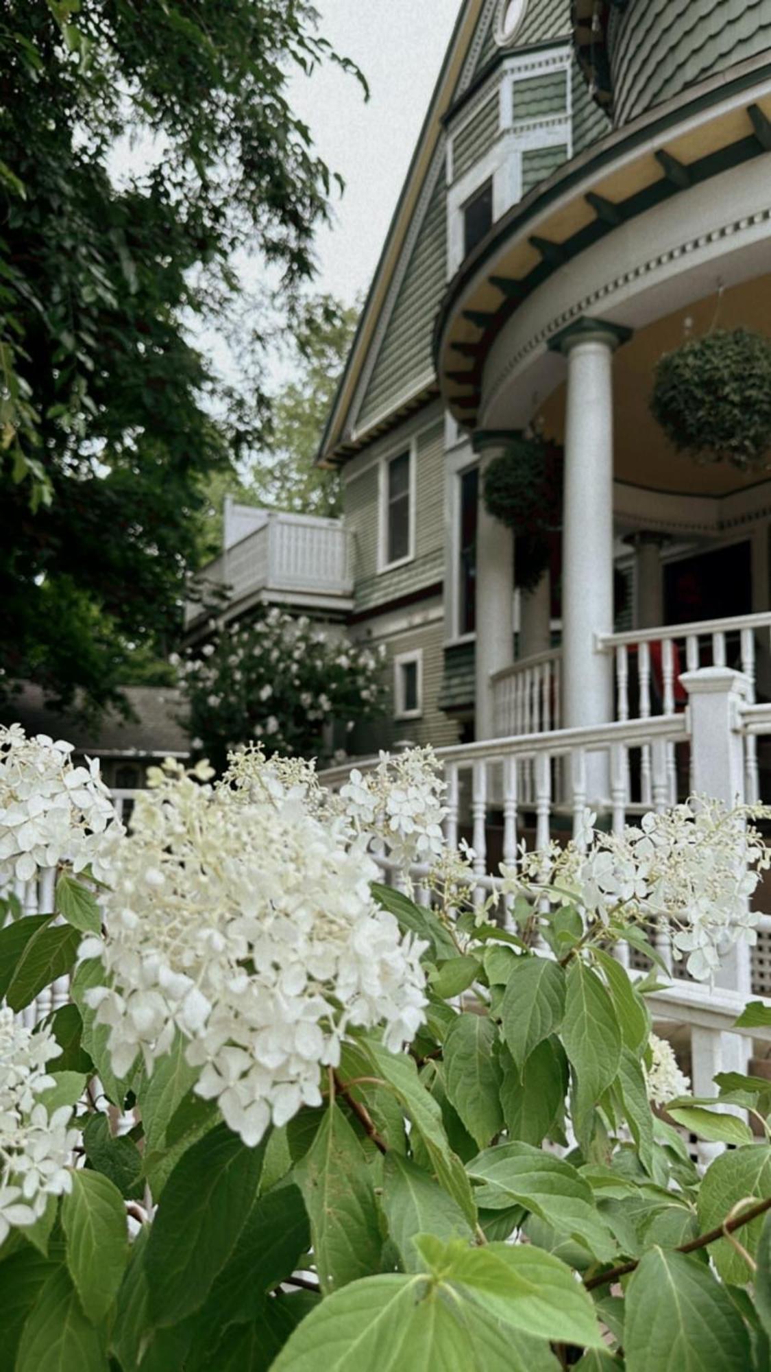 The Ginkgo Tree Bed & Breakfast Маунт Плезант Екстериор снимка